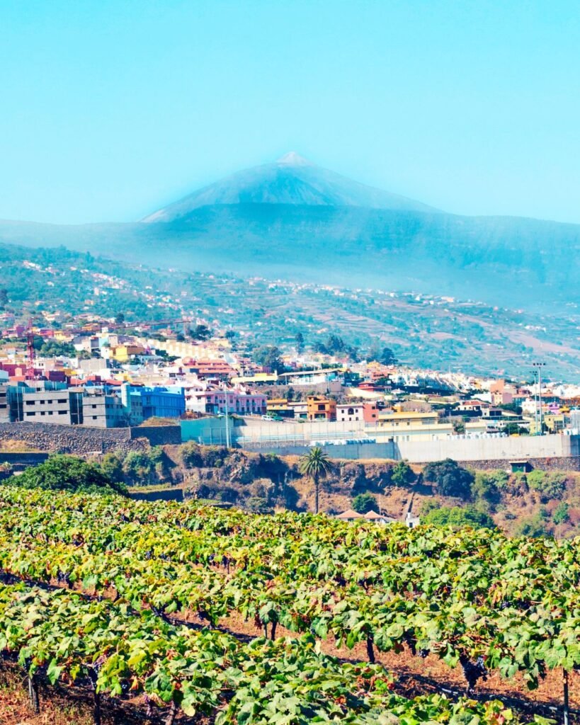 Rutas y experiencias de viajes gastronómicos en Tenerife